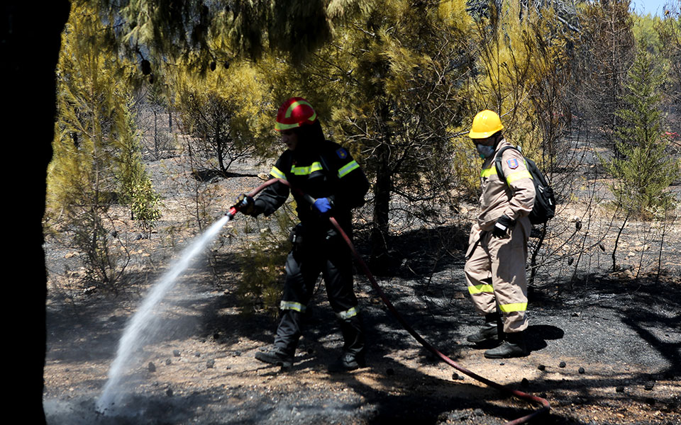 σε-ύφεση-οι-φωτιές-στον-άραξο-και-στην-ά-561522763