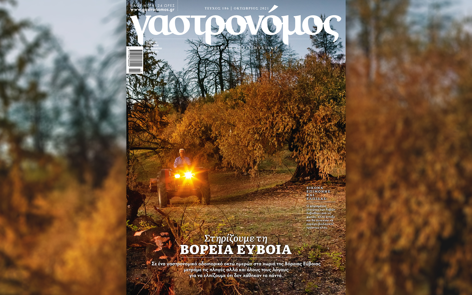 στον-γαστρονόμο-οκτωβρίου-οι-θησαυρο-561523096