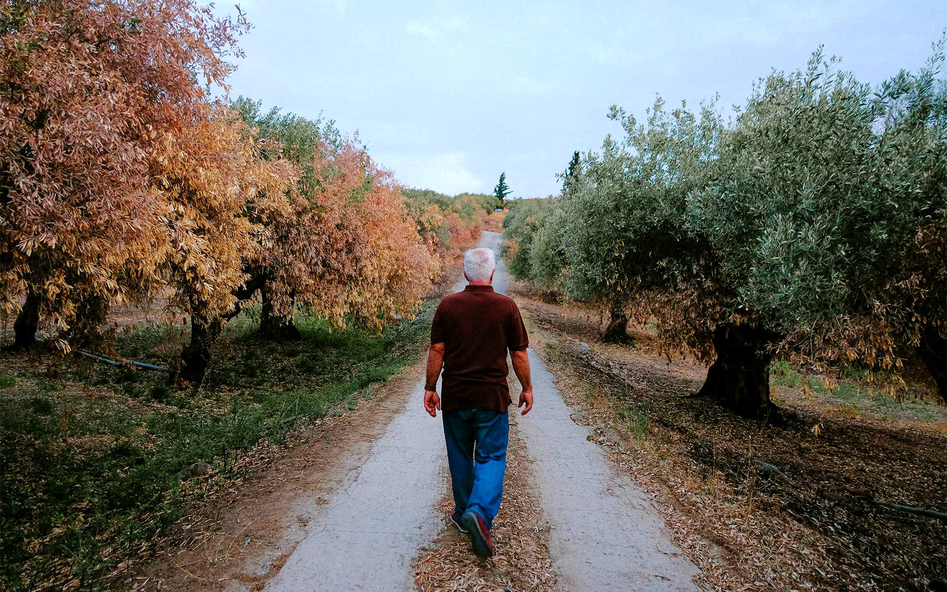 στον-γαστρονόμο-οκτωβρίου-τι-σχέση-έχ-561524944