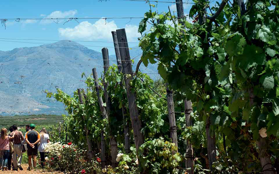 η-κρήτη-των-αμπελιών-και-των-κρασιών-561521500