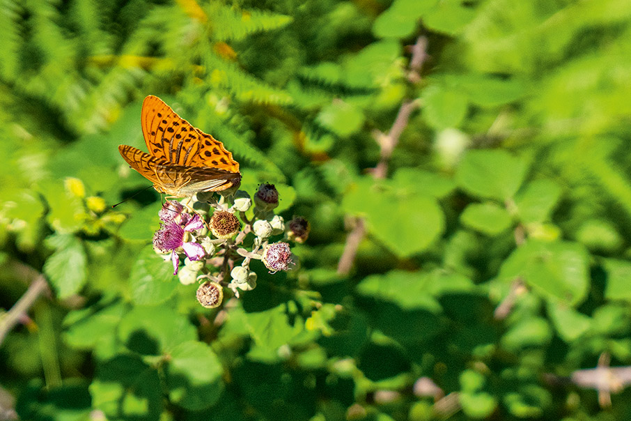 Στους καταρράκτες του Πάντα Βρέχει-5