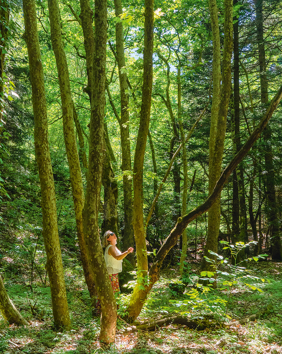 Στους καταρράκτες του Πάντα Βρέχει-1
