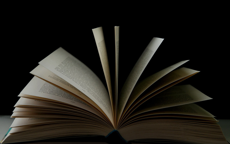 η-κρίση-της-λογοτεχνίας-561521215