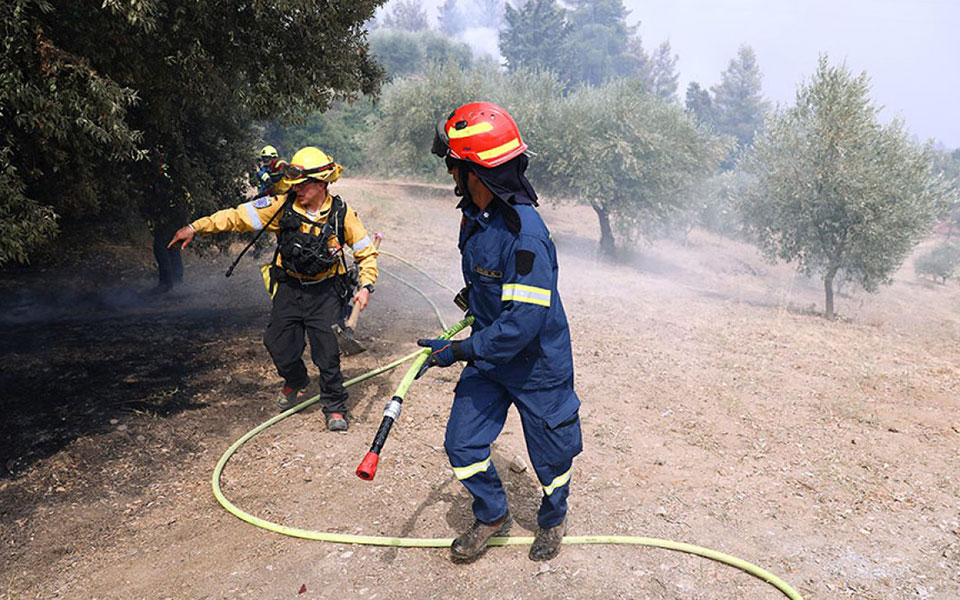 αμερικανική-τεχνογνωσία-για-τους-δασ-561546730