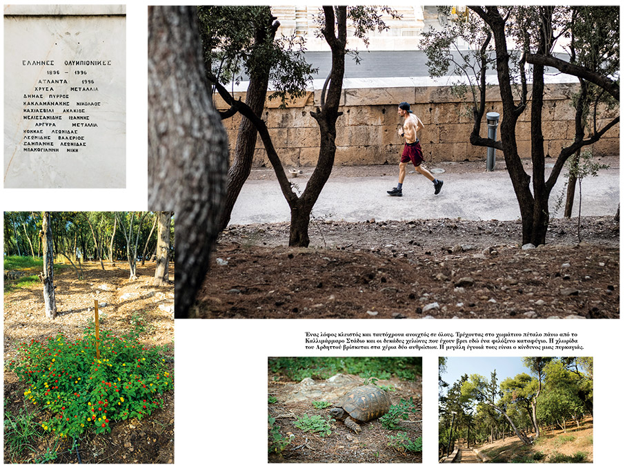 Αρδηττός: Ο λόφος-πάρκο, μνημείο φύσης και ιστορίας-3