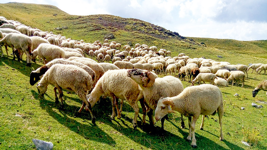 Στην κορυφή του Σμόλικα-2