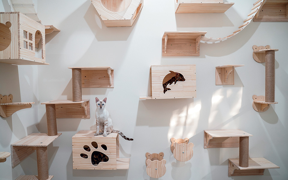 kλίνες-και-κλουβιά-561537544