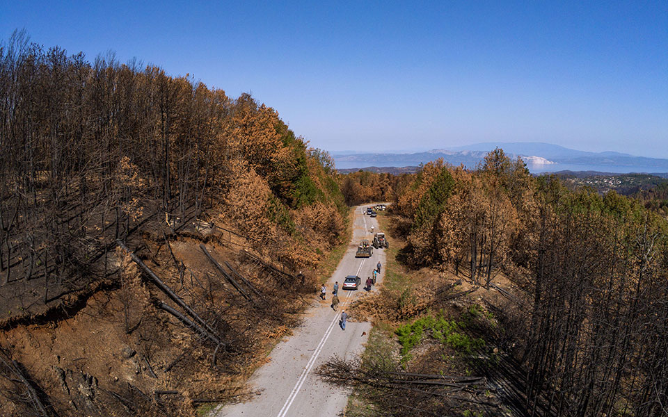 βόρεια-εύβοια-αναστολή-αδειών-για-αιο-561540556