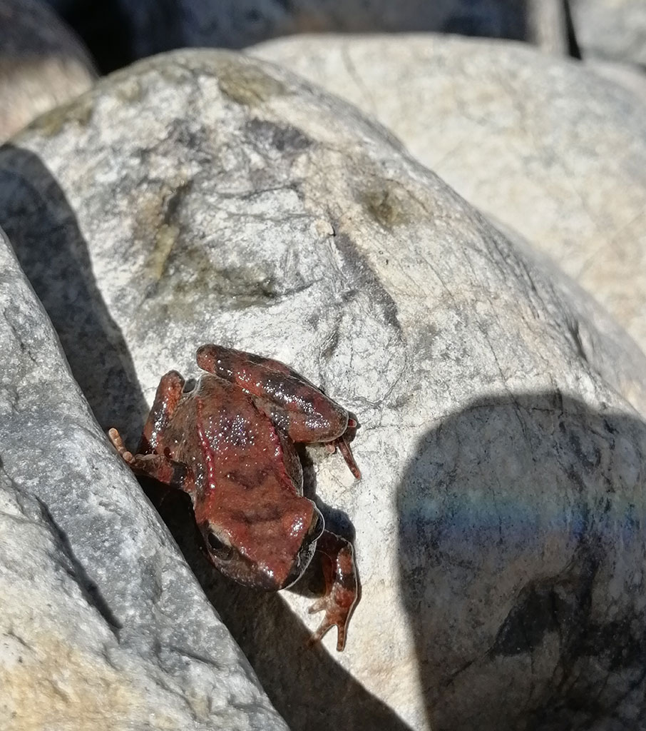 Οι πολίτες συμπράττουν για τον Αώο-2