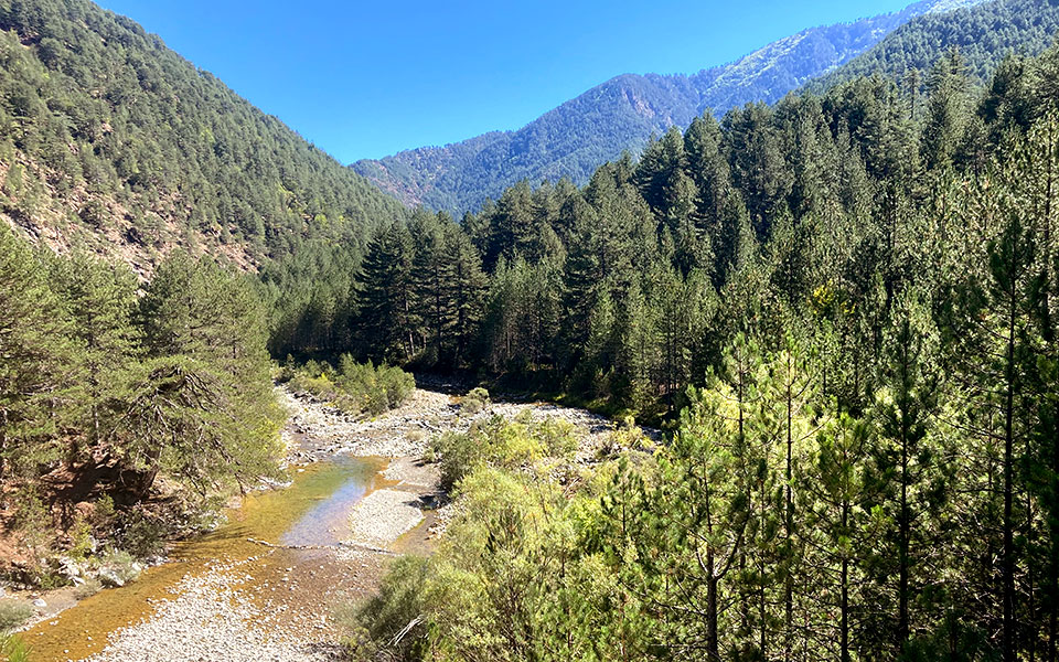οι-πολίτες-συμπράττουν-για-τον-αώο-561593650