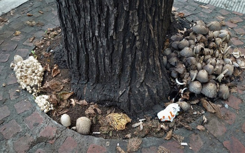 γιατί-η-θεσσαλονίκη-πλημμύρισε-μαν-561578926