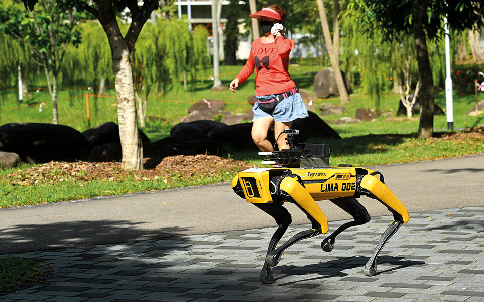 βόλτα-με-τον-σποτ-561597031