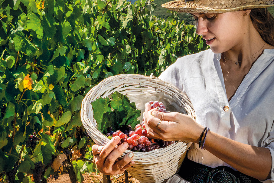 Αρκαδία: Με τα αρώματα του Μοσχοφίλερου-6