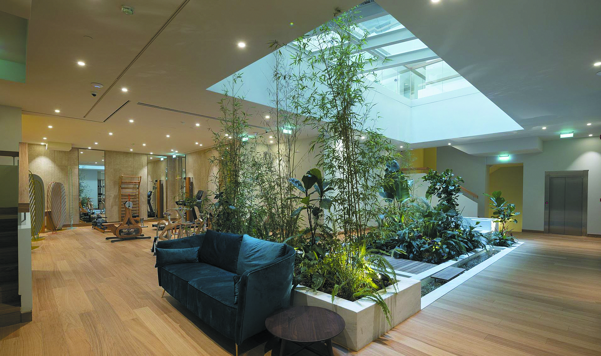 παράταση-έως-30-μαΐου-2022-για-την-εισαγωγή-561568900