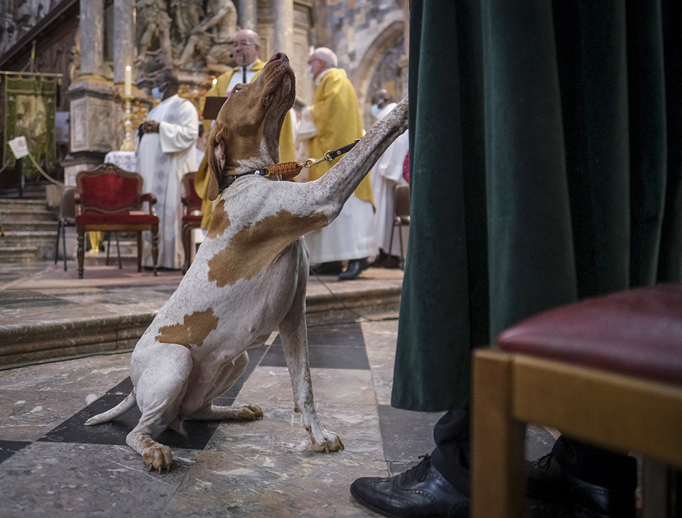 με-18-ευρώ-561569827