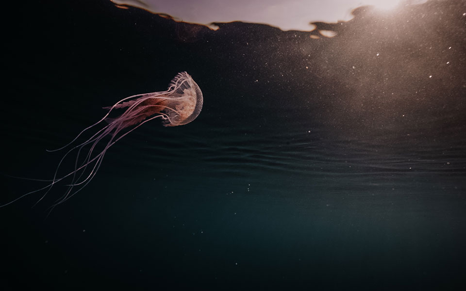 Λιμάνι Νάξου: Μια μικρή χωματερή στο βυθό-5