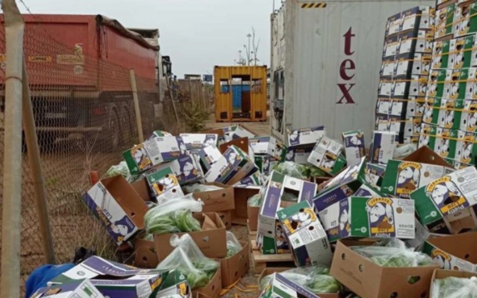 θεσσαλονίκη-οι-μπανάνες-από-τον-ισημε-561580279