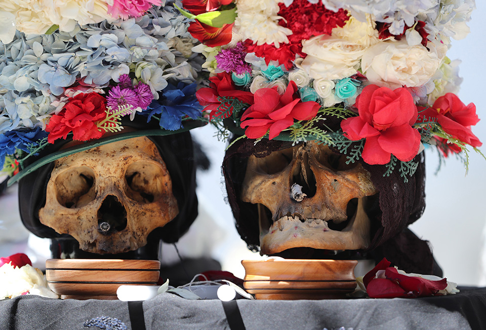 Τα κρανία του σπιτιού