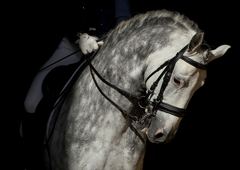 Μόνο καθαρόαιμα