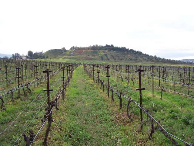 πισωγύρισμα-από-τη-γεωπονική-στα-σπάτ-561580681