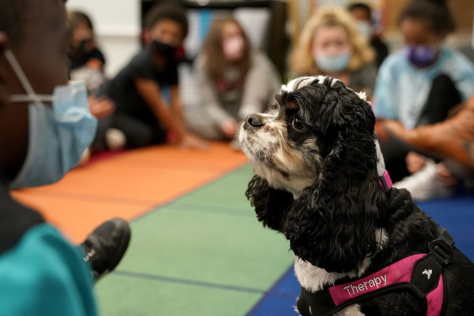 Οσα θα μάθουμε