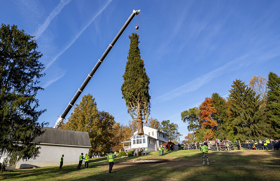 Ετοιμοι για τα Χριστούγεννα