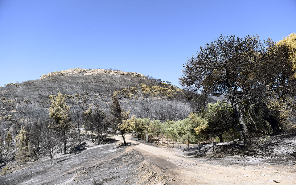 meteo-νέα-υπηρεσία-χαρτογράφησης-της-ευφλ-561570853
