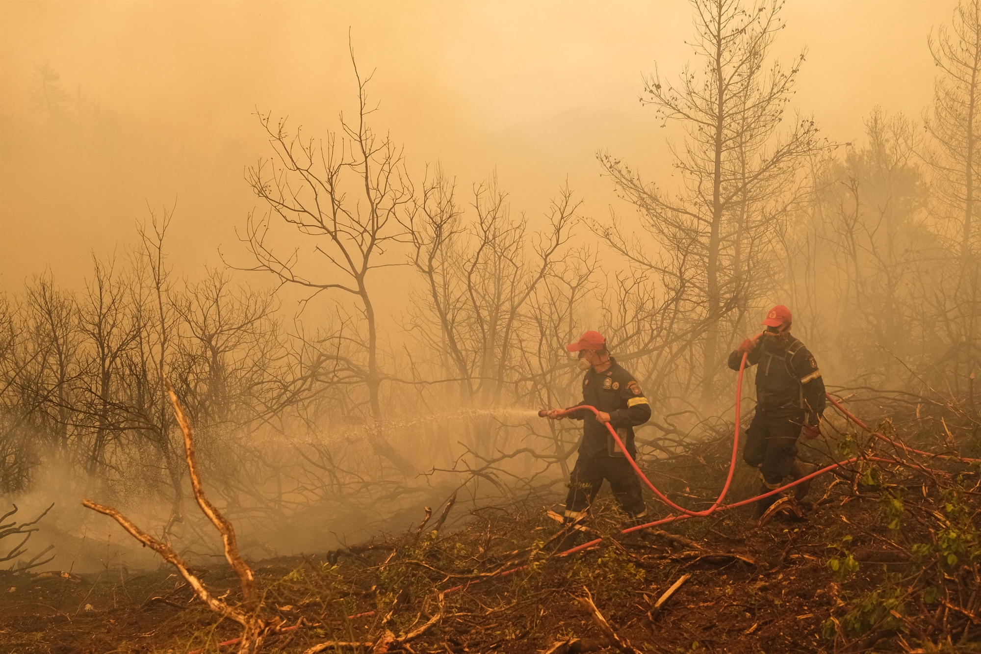 έρευνα-υπέρ-ενός-φόρου-για-την-καταπολ-561582781