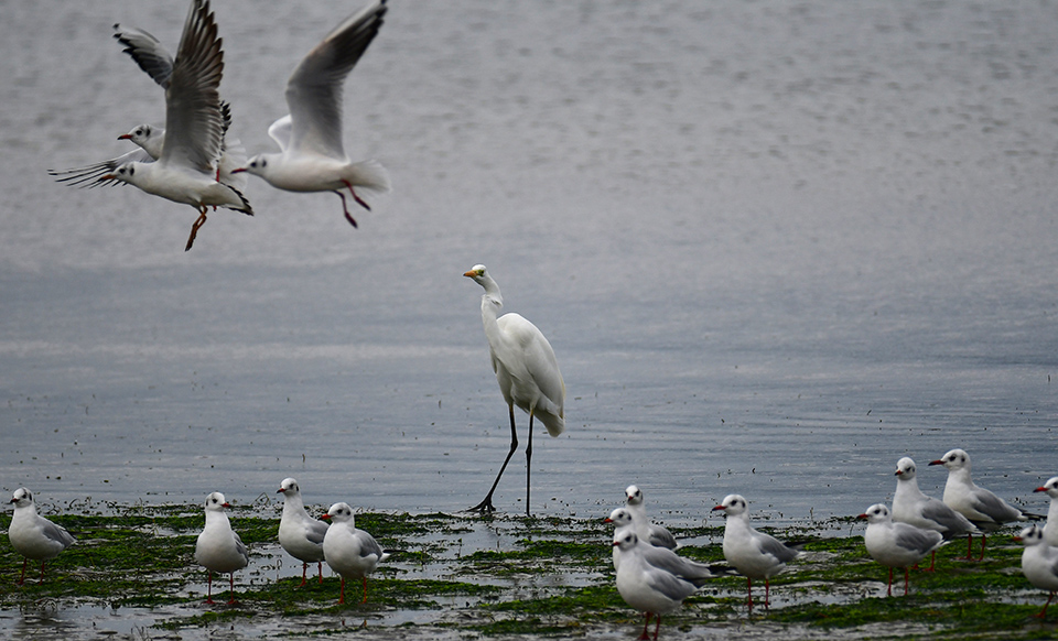 Στα δικά μας μέρη