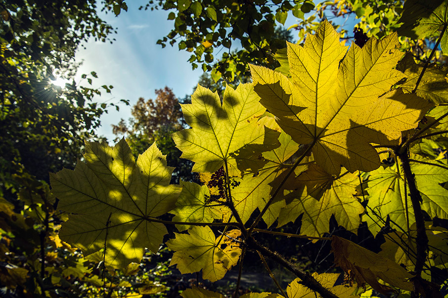 Φθινοπωρινό road trip στην Αλάσκα-3