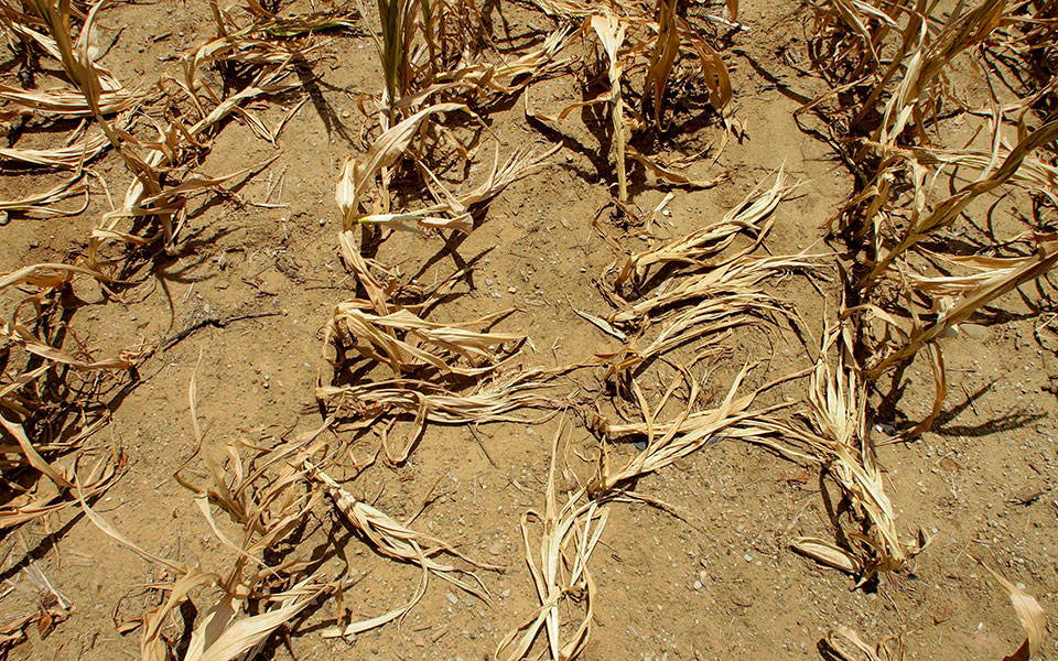 Κλιματική αλλαγή: Ένα δισ. άνθρωποι θα υποφέρουν από ακραία ζέστη με άνοδο της θερμοκρασίας κατά 2°C-2