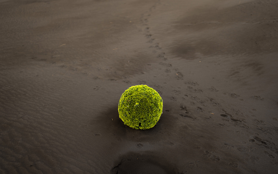 Λα Πάλμα: Όταν η ηφαιστειακή τέφρα σκεπάζει τα πάντα (εικόνες)-7