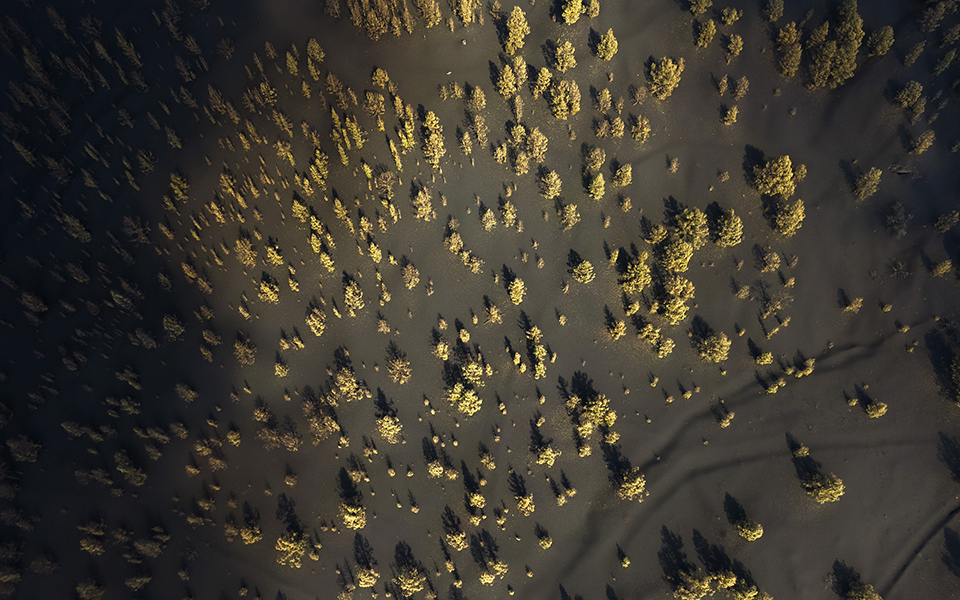 Λα Πάλμα: Όταν η ηφαιστειακή τέφρα σκεπάζει τα πάντα (εικόνες)-15