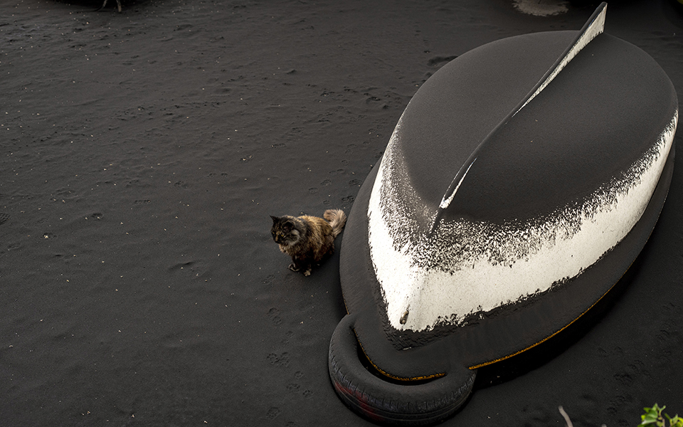 Λα Πάλμα: Όταν η ηφαιστειακή τέφρα σκεπάζει τα πάντα (εικόνες)-10