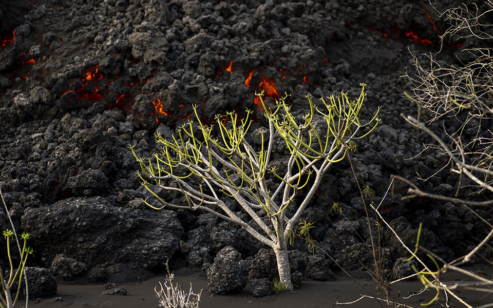 Λα Πάλμα: Όταν η ηφαιστειακή τέφρα σκεπάζει τα πάντα (εικόνες)-6