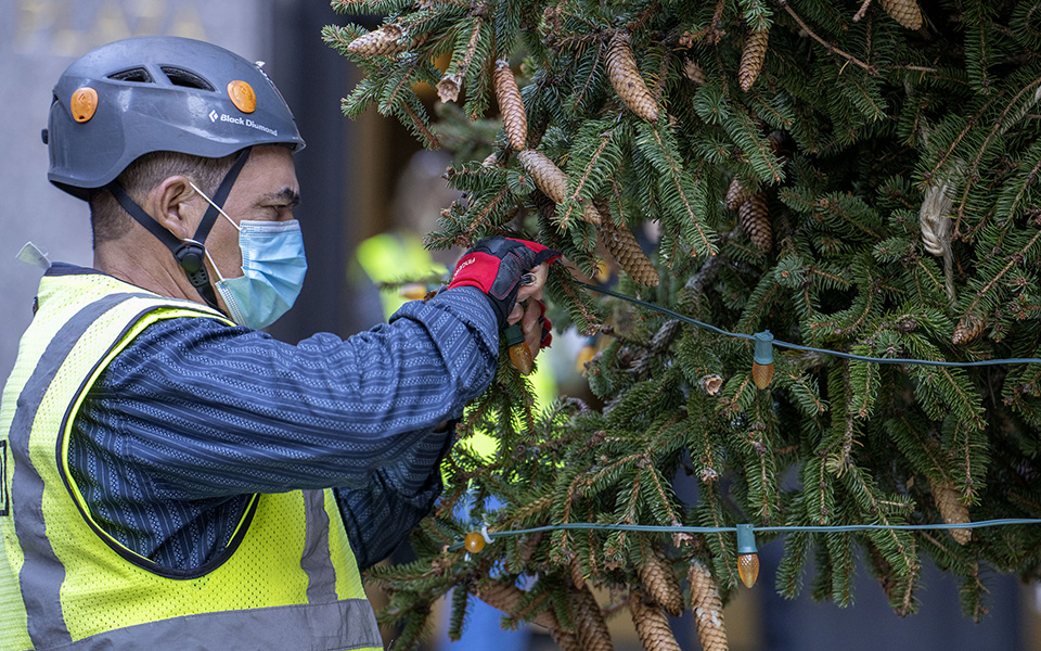 Χριστούγεννα στη Νέα Υόρκη: Ετοιμασίες για τον στολισμό του δέντρου στο Ροκφέλερ (εικόνες)-7