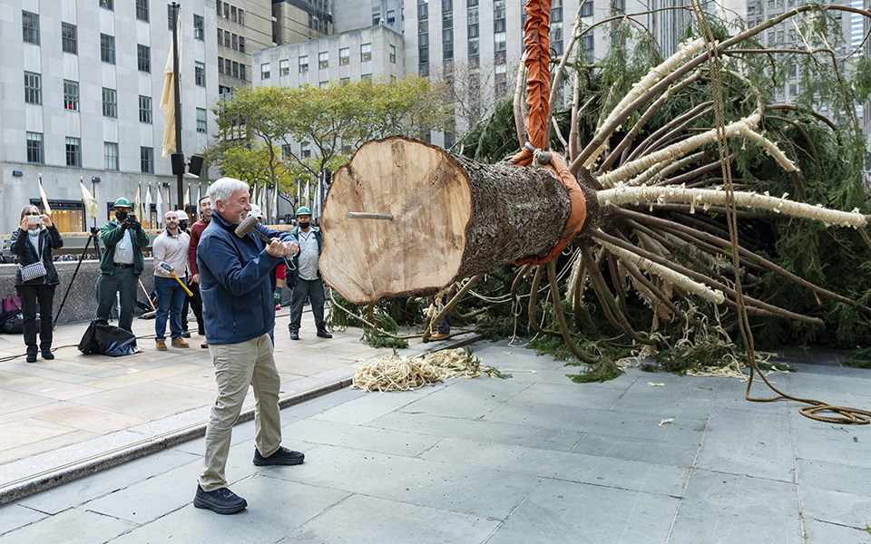 Χριστούγεννα στη Νέα Υόρκη: Ετοιμασίες για τον στολισμό του δέντρου στο Ροκφέλερ (εικόνες)-1