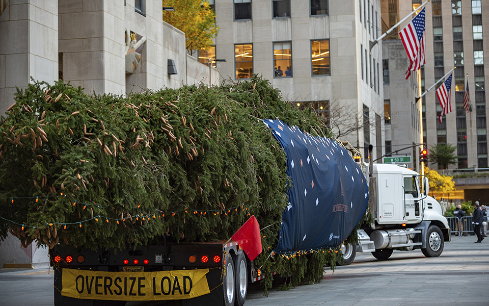 Χριστούγεννα στη Νέα Υόρκη: Ετοιμασίες για τον στολισμό του δέντρου στο Ροκφέλερ (εικόνες)-3