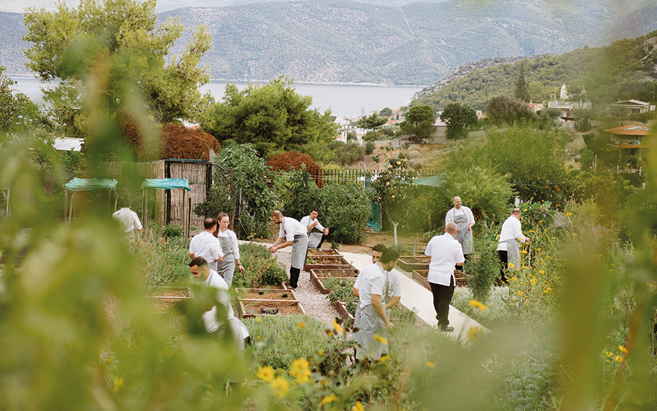 το-μενού-που-χτίζεται-από-τον-σπόρο-561567664