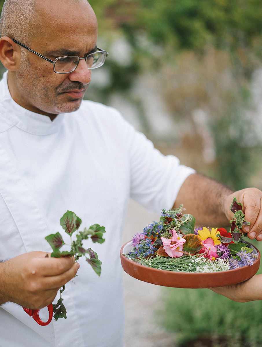 Το μενού που χτίζεται από τον σπόρο-2