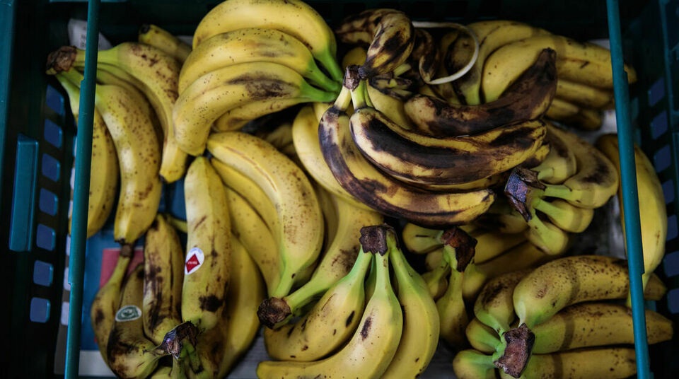 τουρκία-σύροι-πρόσφυγες-απελαύνοντα-561569317