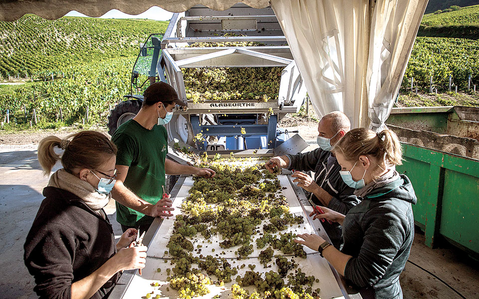 κλιματική-κρίση-μειώθηκε-η-παραγωγή-κ-561575344