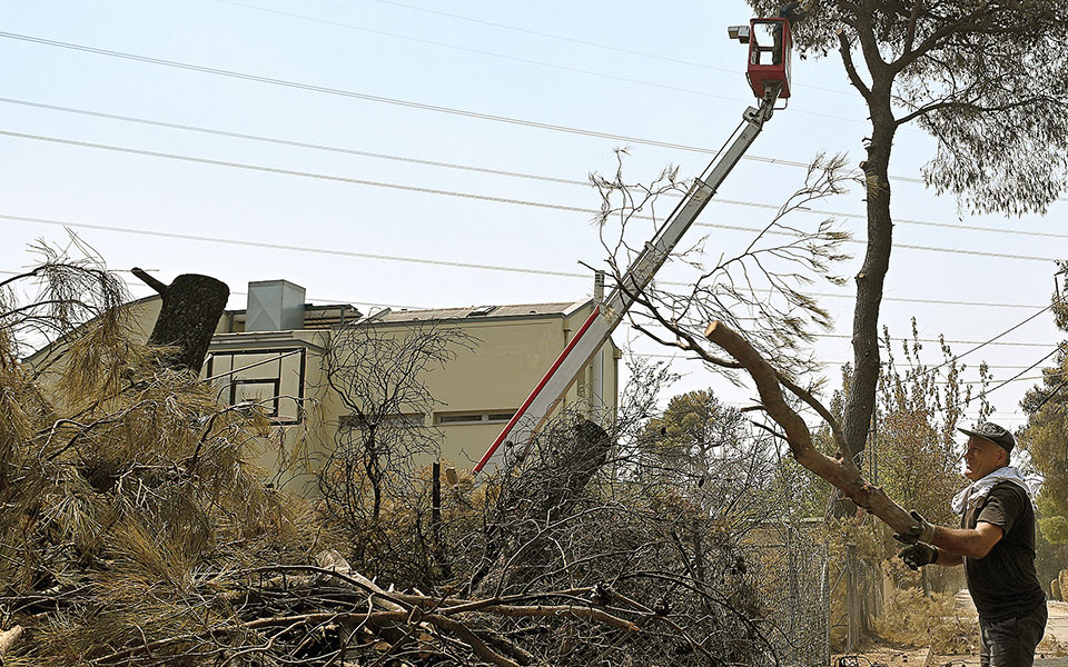 τα-λάθη-στη-φωτιά-στις-αφίδνες-αποκα-561585514