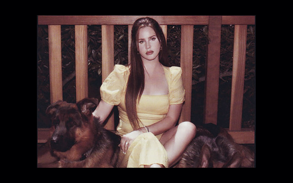 από-την-επιτήδευση-στο-ξεδίπλωμα-ενός-561603763