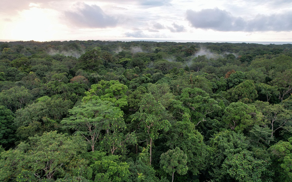 πώς-ο-δαρβίνος-καθοδηγεί-τους-σημεριν-561572473