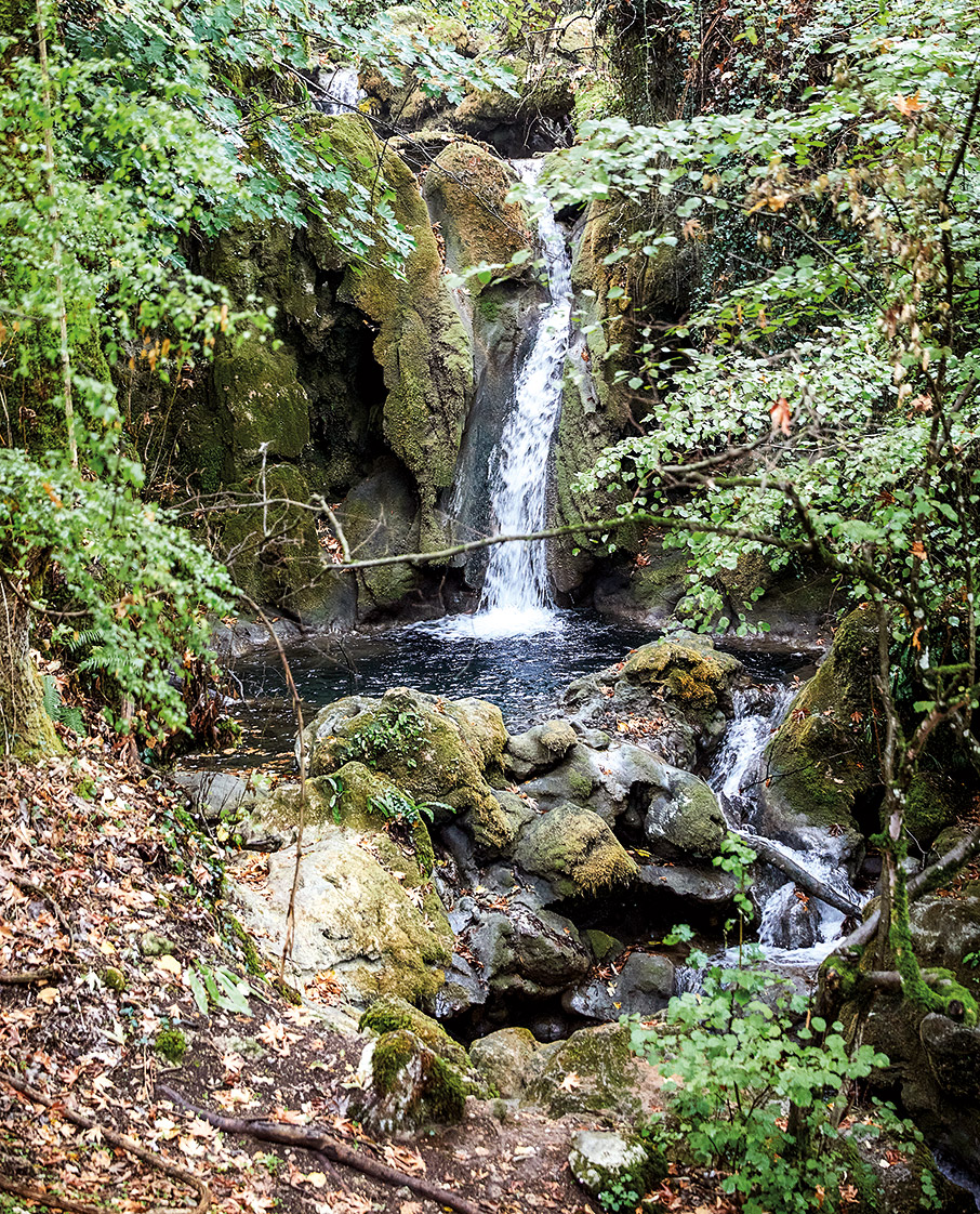 Τρίκαλα: Η πόλη που ξέρει από ευ ζην-8