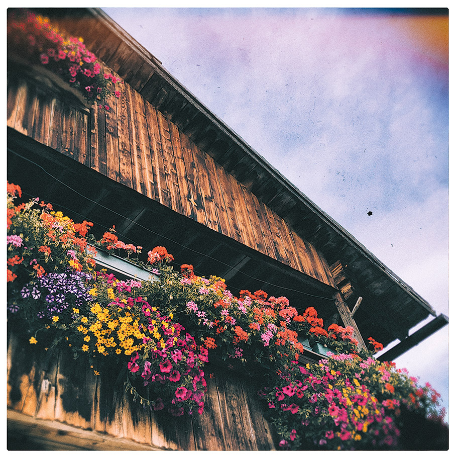 Χαμένοι στη μετάφραση, στους Δολομίτες-1