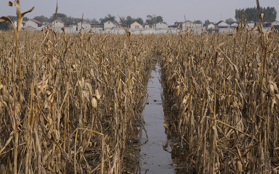 Κλιματική κρίση: Οι συνέπειες της υπερθέρμανσης κατά 3 βαθμούς – Βρετανός ειδικός εξηγεί-1