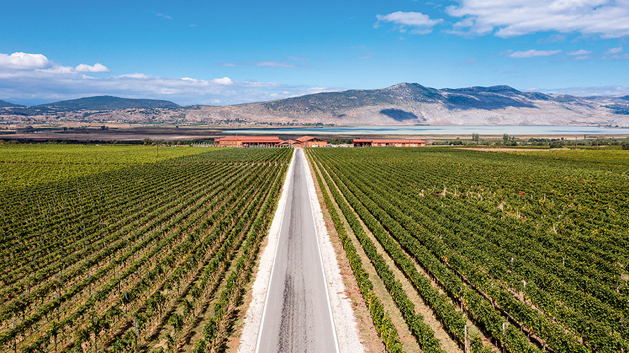 Αμύνταιο – Νάουσα: Ιστορίες από Ξινόμαυρο-3