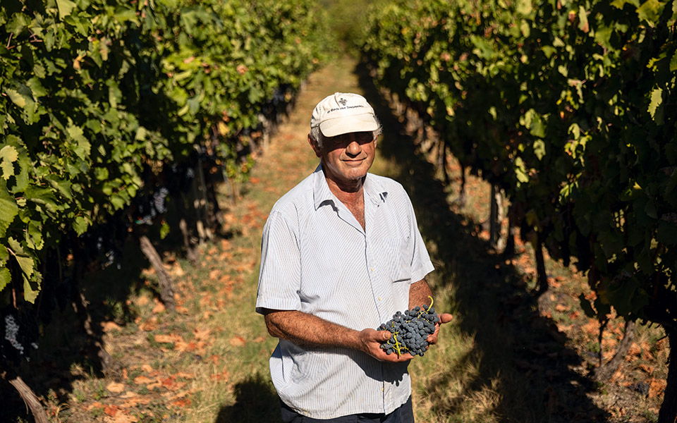 αμύνταιο-νάουσα-ιστορίες-από-ξινόμ-561580093